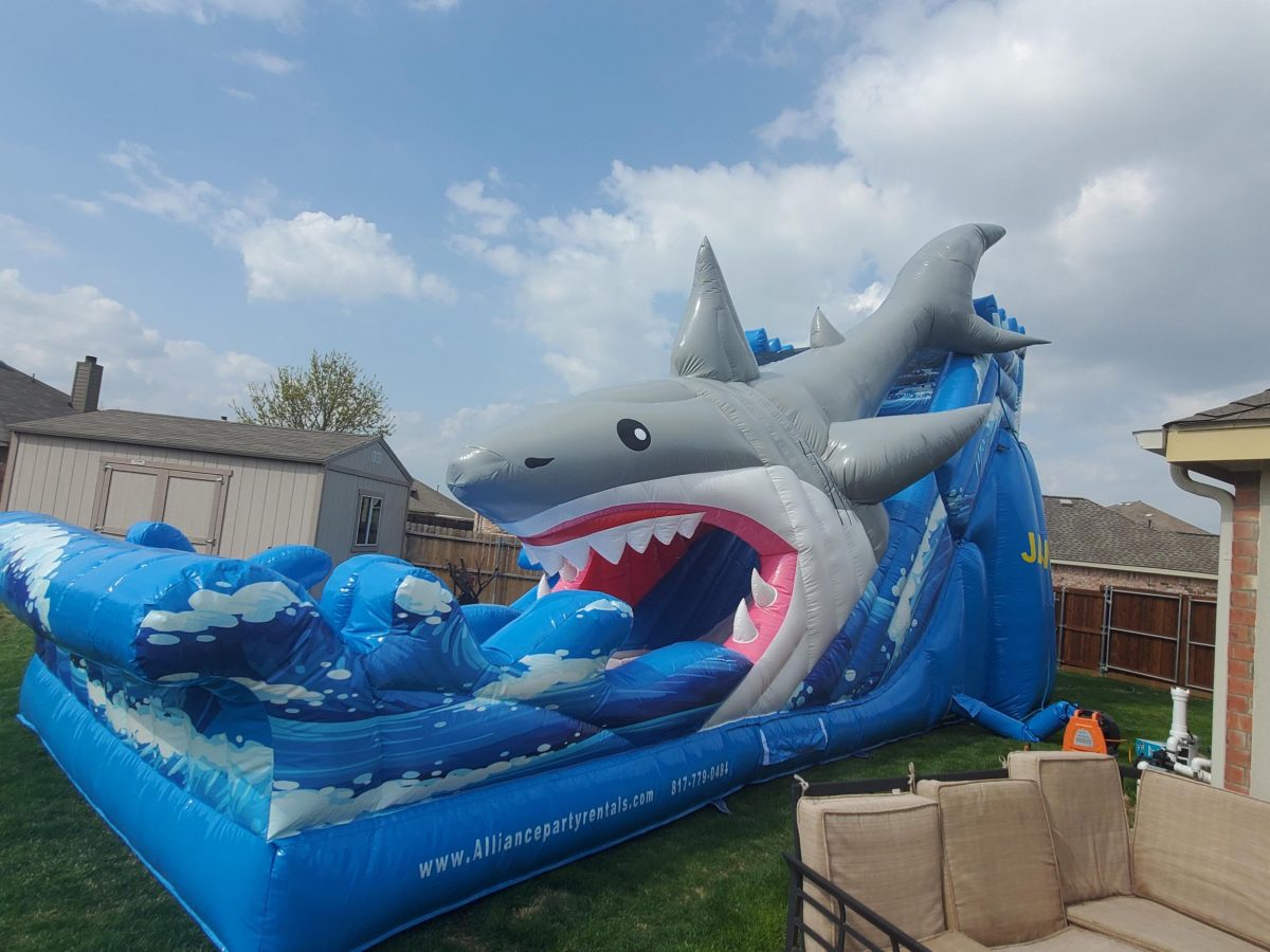 Jaws Alliance Party Rentals