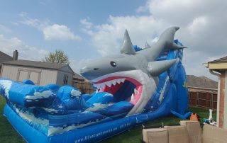 Jaws water slide